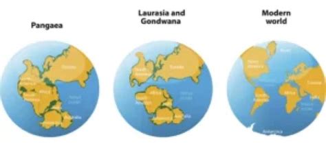 Continental Drift Theory by Alfred Wegener - Pan Geography