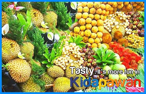 Timpupo Fruit Festival in Kidapawan City: A celebration of Culture ...