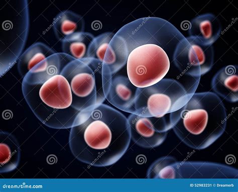 Cells stock illustration. Illustration of biotechnology - 52983231