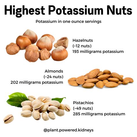 Potassium in Nuts: How You Can Eat Nuts on a Renal Diet