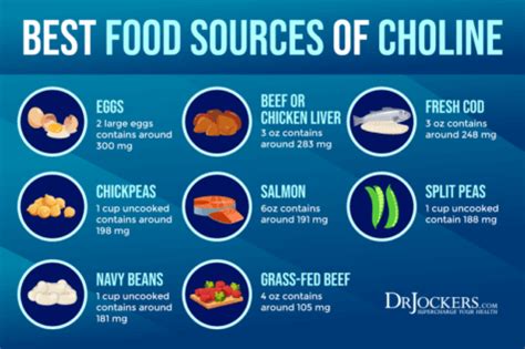 Choline: Signs of Deficiency, Benefits, and Food Sources - DrJockers.com