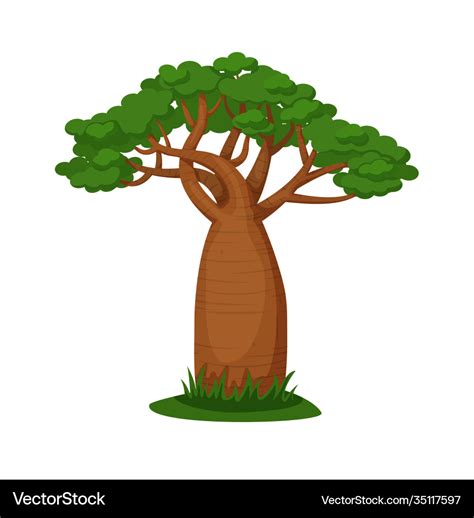 Green baobab tree isolated on white background Vector Image