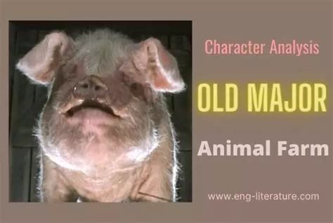 Old Major Animal Farm | Character Analysis - All About English Literature