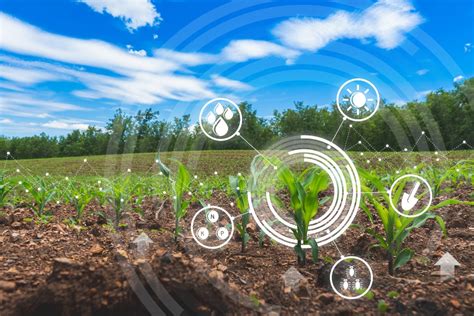 Agricultural Technology: How the Industry is Changing | Paragon Bank