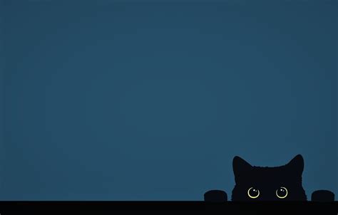 Cat Minimalist Wallpapers - Wallpaper Cave