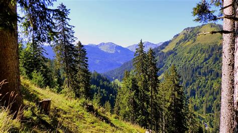 HD wallpaper: nature, landscape, alpine, forest, mountains, trees ...