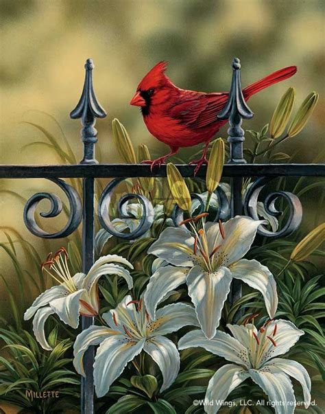 Pin by Karen Johnston on cardinals | Bird art, Art, Art prints