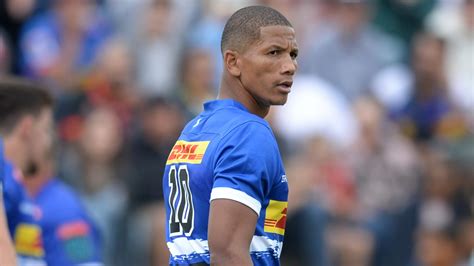 URC: Manie Libbok set to feature for Stormers against Sharks : PlanetRugby