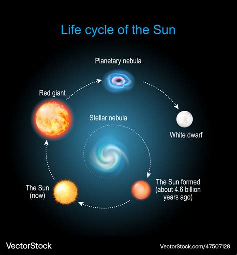 Life cycle of the sun Royalty Free Vector Image