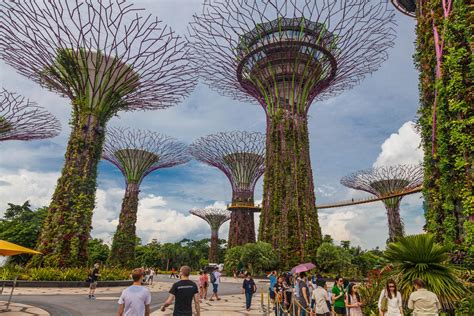 In pictures: Singapore's surreal Supertree Grove and Cloud Forest