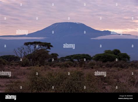 Kilimanjaro mountain at the sunrise Stock Photo - Alamy