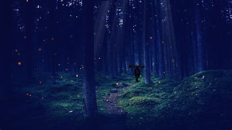 Enchanted Forest Night