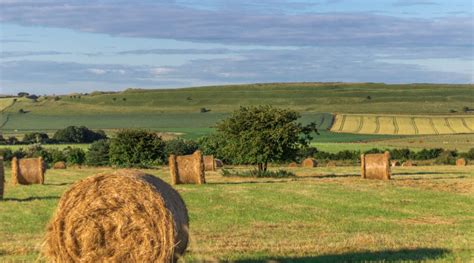 Farming in Protected Landscapes programme | Dorset Area of Outstanding ...