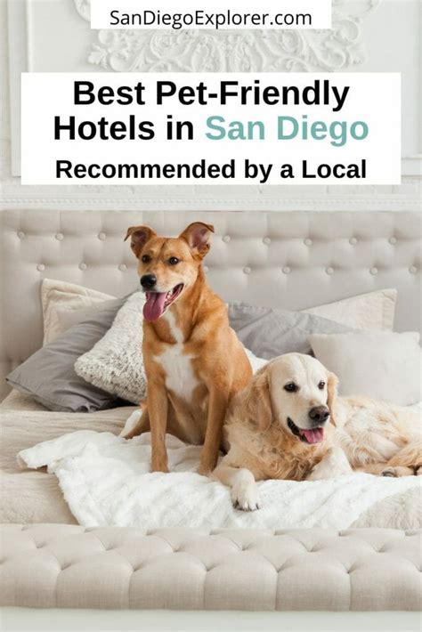 Amazing Pet-Friendly Hotels San Diego - Bring Fido & Co