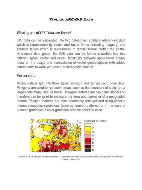 Type of GIS Data | PDF | Geographic Information System | Computing