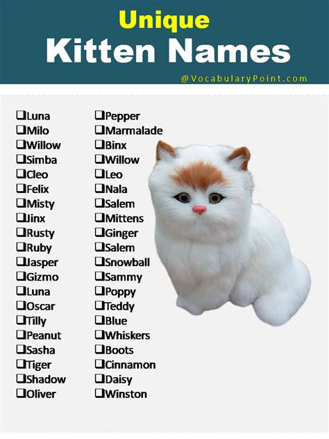 100+ Cute Kitten Names | Kitten names, Cat names, Cute cat names