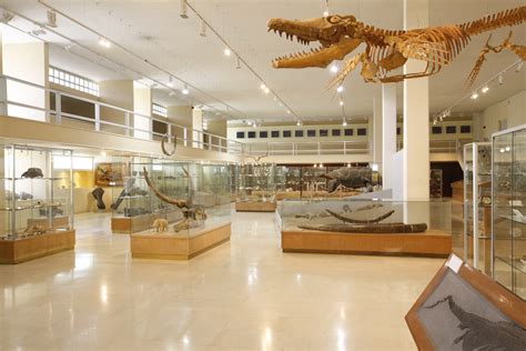 Peloponnese Village To Host New Paleontology Museum News