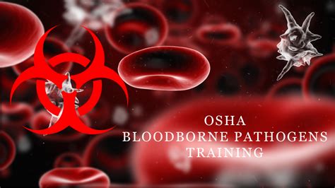 Bloodborne Pathogens Training | Online Course