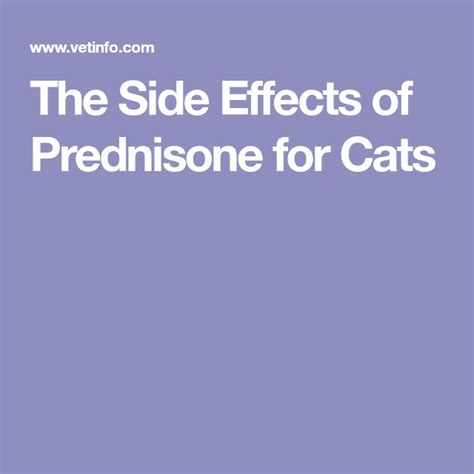 The Side Effects of Prednisone for Cats | Prednisone, Side effects, Siding