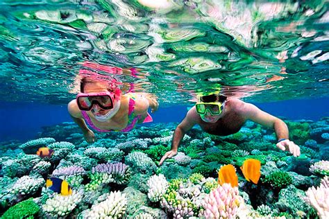 Riviera Maya Snorkeling the perfect Cancun Snorkeling Adventure Tour