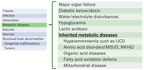 JCM | Free Full-Text | Acute Encephalopathy Caused by Inherited ...