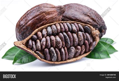 Cocoa Pods Cocoa Beans Image & Photo (Free Trial) | Bigstock