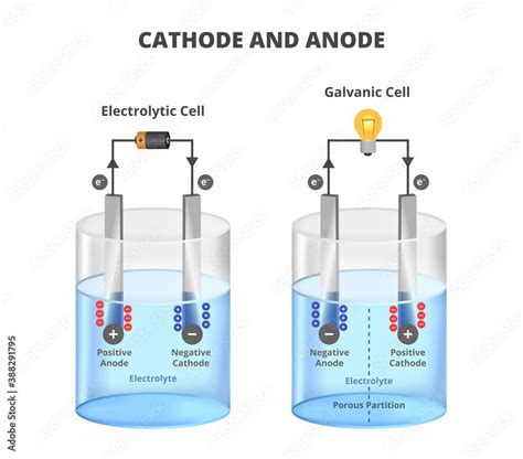 Vector scientific illustration of the electrolysis processes. Set of ...