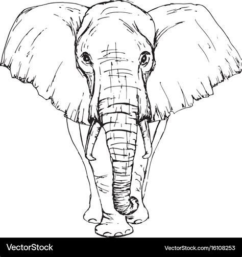 Incredible Compilation of Elephant Drawings: Over 999+ Elephant Drawing ...