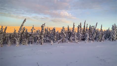 Alaska: Winter Road Trip from Fairbanks to Arctic Circle - YouTube