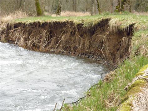 Is Your Stream Bank Heading Downstream? - Clackamas SWCD