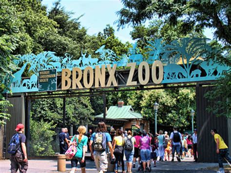 Bronx Zoo: Animal exhibits, zoo events & nearby family attractions