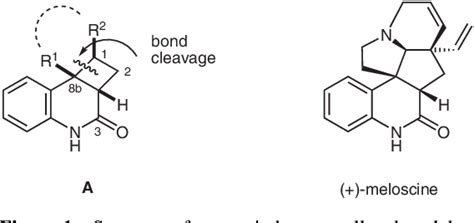 Figure 1 from Cyclobutane Ring Opening Reactions of 1,2,2a,8b ...