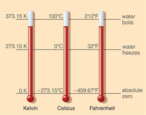 Metric System Scale