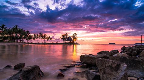 Top 999+ Palm Tree Sunset Wallpaper Full HD, 4K Free to Use