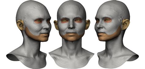 Female 3d Head Scan