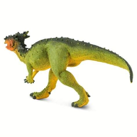 Safari Dracorex | Fossils for Sale