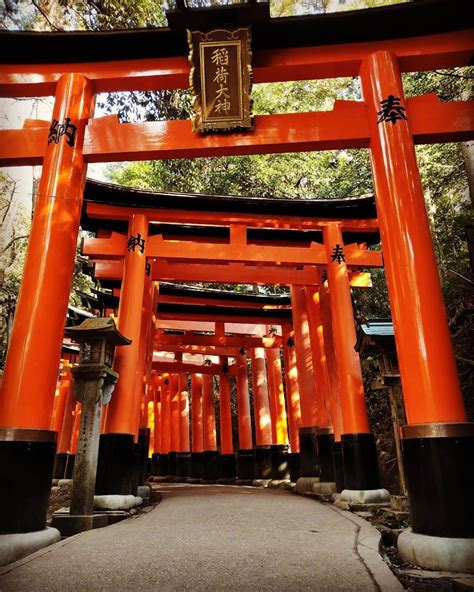 Fushimi Inari Shrine is an important shinto shrine in Kyoto. You pass ...