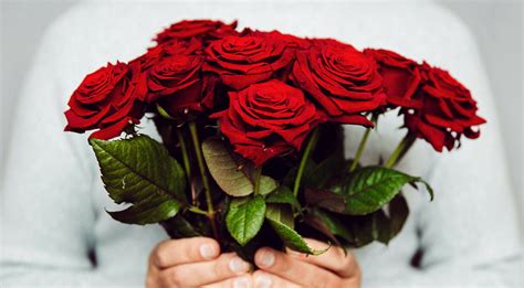 Red Rose Day – June 12, 2022 | Weird and Crazy Holidays