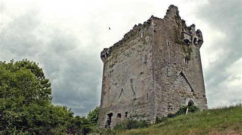 Historic Sites of Ireland: Ballynamona Castle