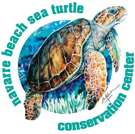 Navarre Beach Sea Turtle Conservation Center | Mightycause