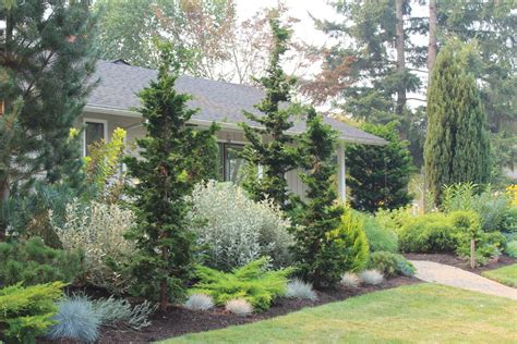 17 Cheap Privacy Landscaping Ideas | Privacy landscaping, Landscape ...