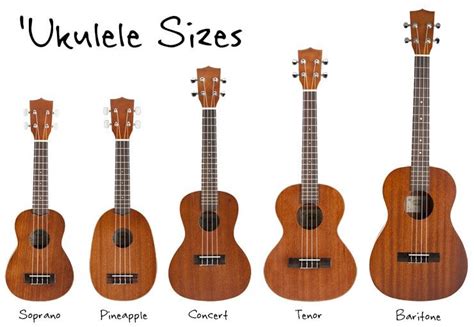 Beginner Guide to Choosing the Right Ukulele Size