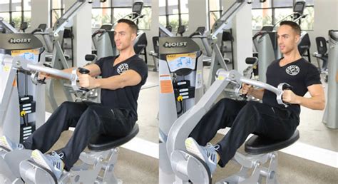 Machine Row - The Optimal You | Online Personal Trainers & Holistic ...