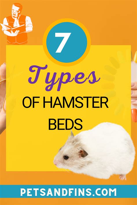 Best hamster bedding types why is good bedding important safe and ...