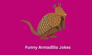 80+ Funny Armadillo Jokes