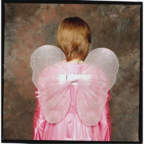 RG Costumes 65168 Fairy Wings Costume - Pink - Size Child, 1 - Kroger