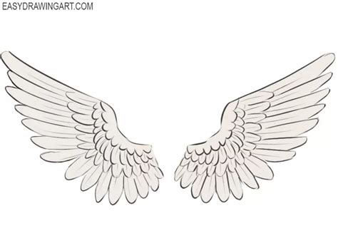 Wings Drawing