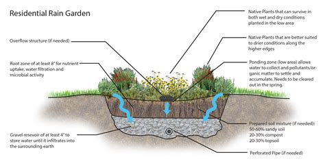 Outdoor Lighting & Exterior Light Fixtures: Rain Garden Design Plans