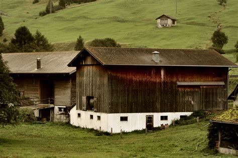 Plastic Sheds Vs. Metal and Wood Sheds - Shed Mechanics