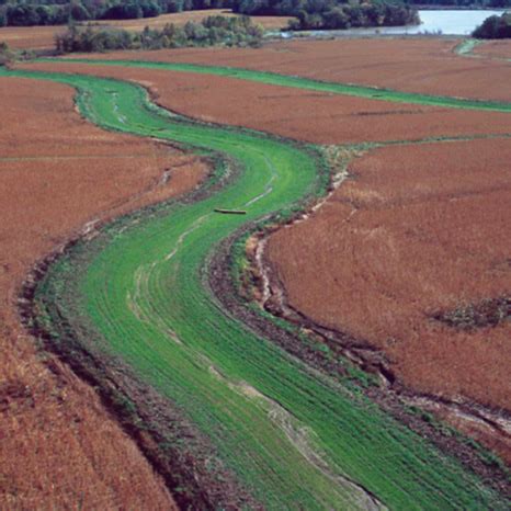 Improving Water Quality with Grassed Waterways